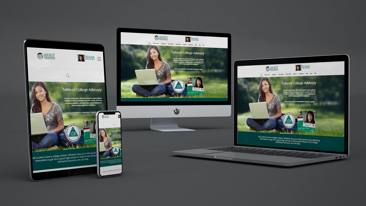 Merit - Educational Consultant